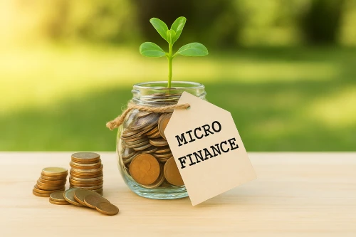 Microfinance Loans